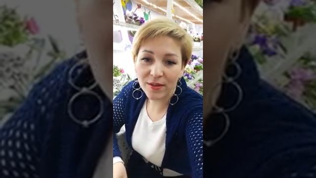 Светодиодные ленты для подсветки фиалок. смотреть онлайн