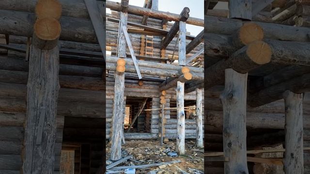 Карельская северная сосна Кело смотреть онлайн