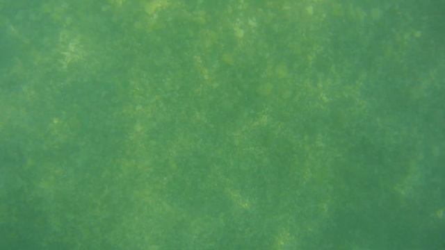 Дотации предпринимателям в Черногории смотреть онлайн