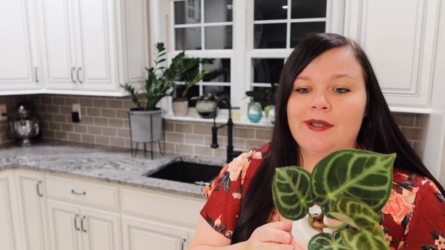 Plant Unboxing | GREENSPACES.ID | Indonesia смотреть онлайн