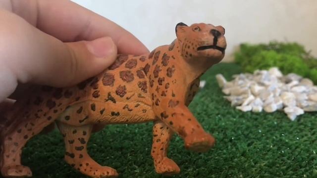 Обзорчик на диких кошек ( девочек ) смотреть онлайн