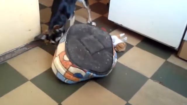 Давай играть! смотреть онлайн