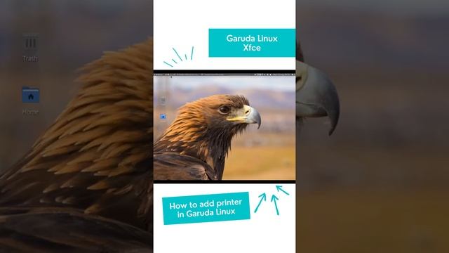 How to add printer in Garuda Linux смотреть онлайн