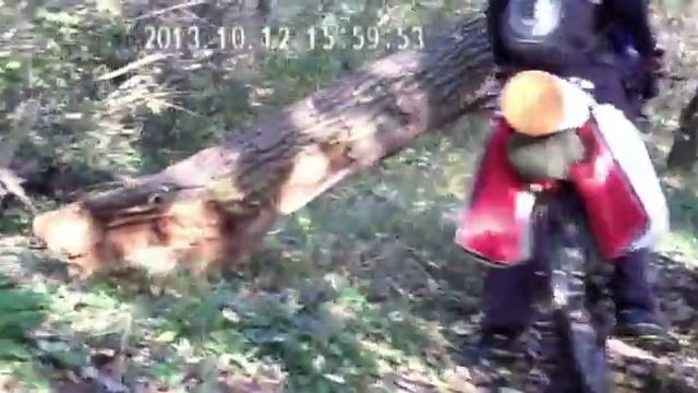 Велопрогулка берегами Северского Донца смотреть онлайн