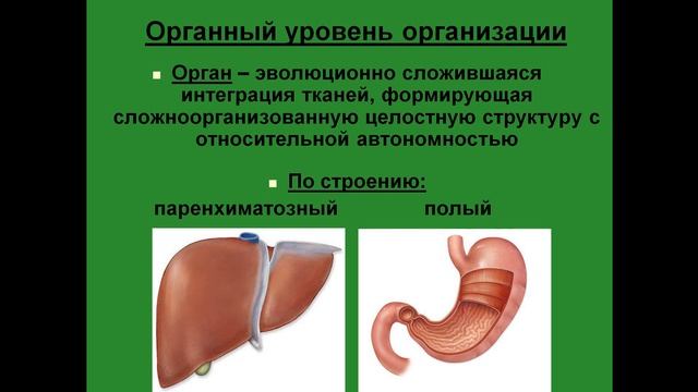 Уровни организации живого