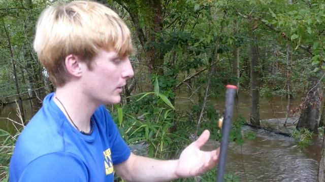 American Banana Spiders! Are they ACTUAL Banana Spiders?..... смотреть онлайн
