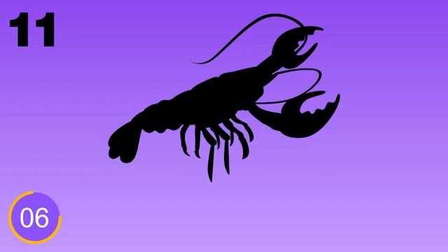Guess the Ocean Animal from Their Shadow | Quiz Game for Kids, Preschoolers and Kindergarten смотреть онлайн