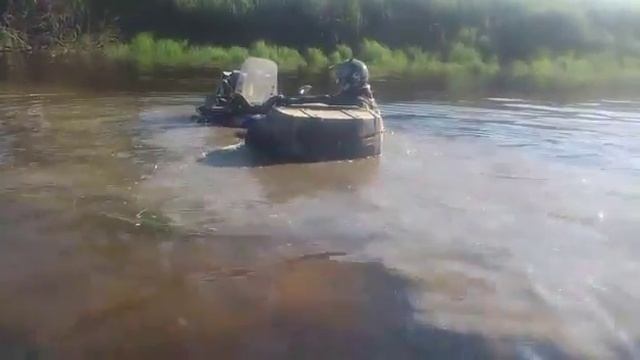 IMG 8356 смотреть онлайн