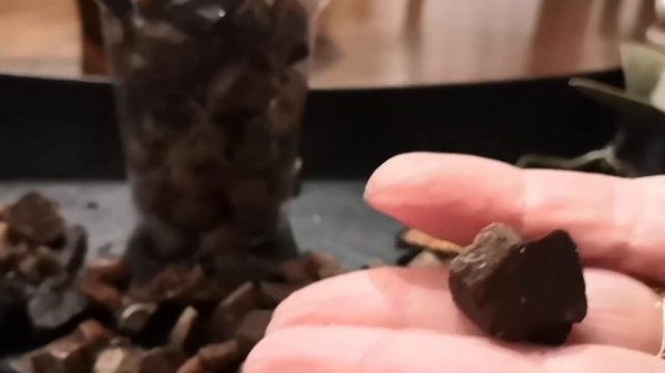 Посадка реанимашек в грунт.