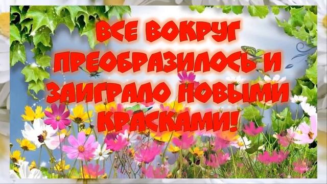 Дружная команда вышла на субботник!!! смотреть онлайн