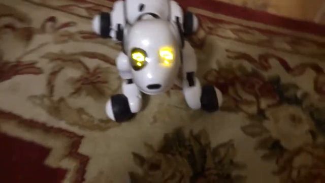 игрушка собака-робот Зуммер смотреть онлайн