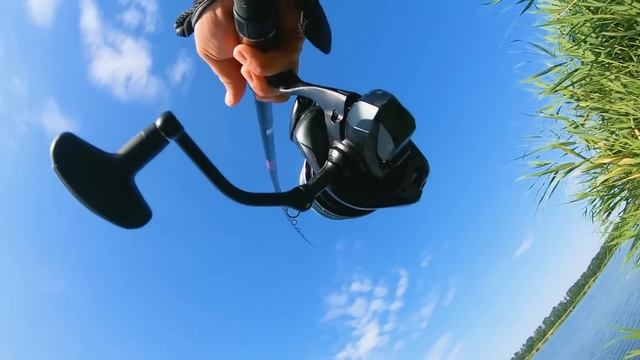 Как выбрать фидер для дальнего заброса? Снасти и техника заброса. смотреть онлайн