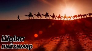 Шейх Яхья | Шоlип Пайхамарах ﷺ лаьцна хьехам.