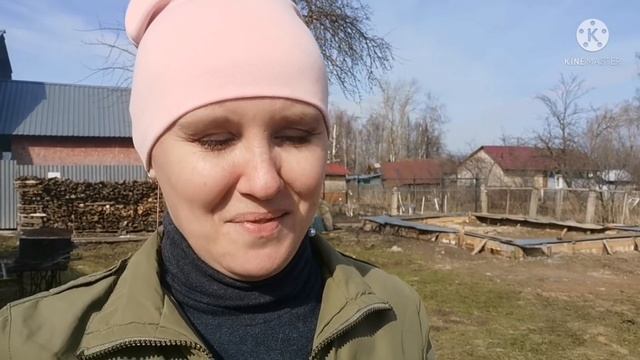 ВЛОГ. Верю ли гадалкам, нашли телефон Самсунг, блогеры прибедняются, как училась, болели ли дети... смотреть онлайн