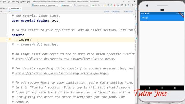Image Widget in Flutter தமிழ் | Local Asset Image in Flutter | Mobile Apps смотреть онлайн