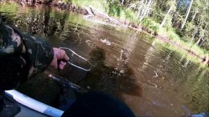 Ловля язя на поплавочную удочку