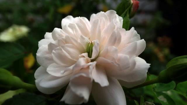 Горячий русский клип и фото онлайн смотреть онлайн