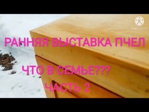 Ранняя выставка пчел. Пробую метод Сергея Гопка. Часть 2