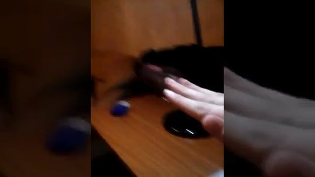 Дом из бумаги. смотреть онлайн