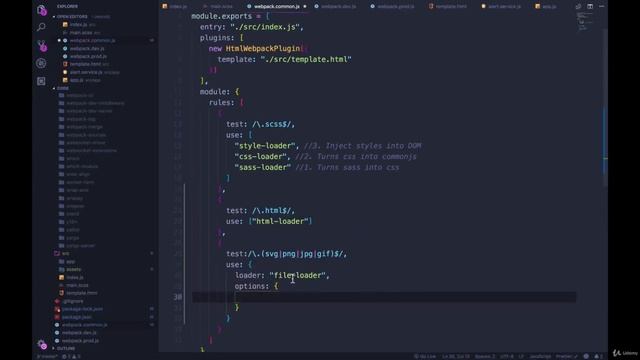 Html loader, file loader, and Clean Webpack Plugin смотреть онлайн