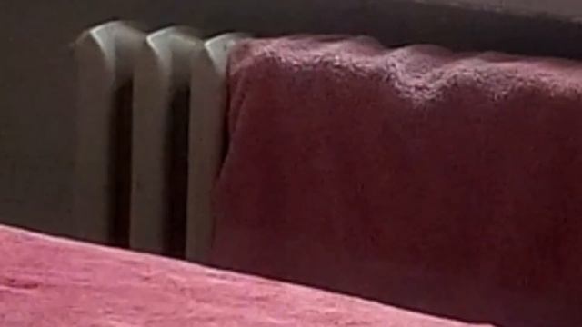 Кошка падает во сне. смотреть онлайн