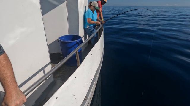 Fish City Pride Season 1 Episode 1 No Heimback Returns Vermillion Snapper and Amberjack смотреть онлайн