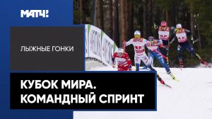 Лыжные гонки. Кубок мира. Командный спринт