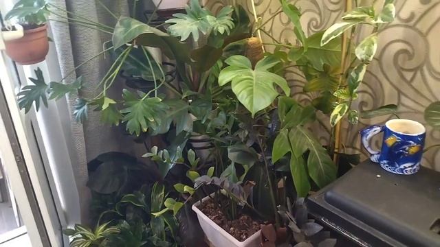 Про цветы. Переделка часть вторая. Спальня. смотреть онлайн