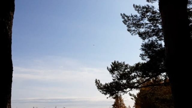 Проверяем озеро, рыбалка и охота. смотреть онлайн