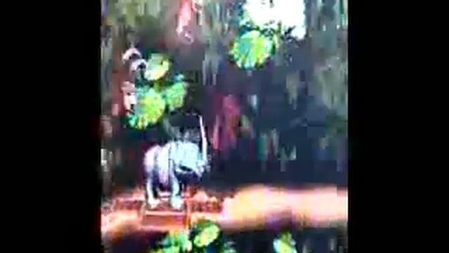 NOKIA E62 SYMBIAN SUPERNINTENDO PARTE 4