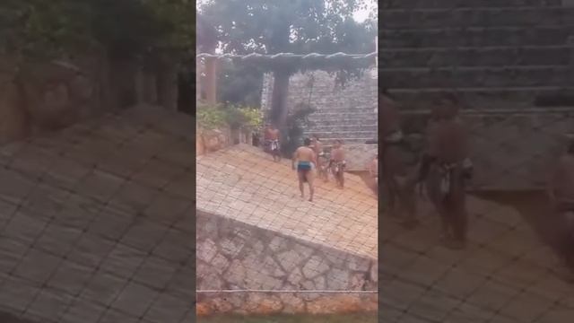 Пирамиды Майя (Мексика) смотреть онлайн