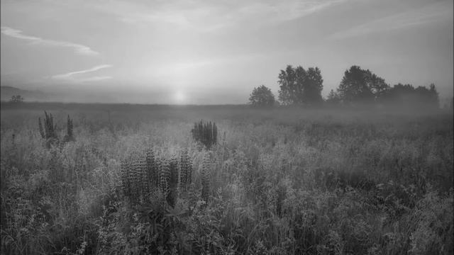 "Стрекоза" - стихи А. Кушнера, музыка П. Ардабьевского смотреть онлайн