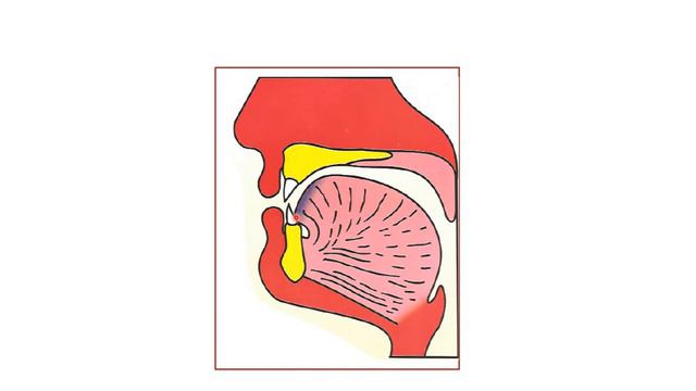 Урок 13 смотреть онлайн