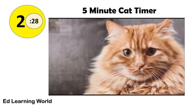 5 Minute Timer Featuring Cats - Fun Animal Timers смотреть онлайн