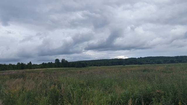 Дача. Заблудились в лесу. Поехали на велосипедах кататься. Лето 2020. смотреть онлайн