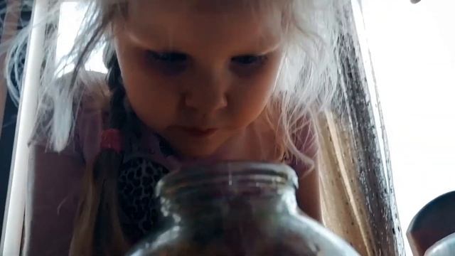 Отдыхаем в бассейне и ловим тритонов с рыбками! Миланкины баранки. смотреть онлайн