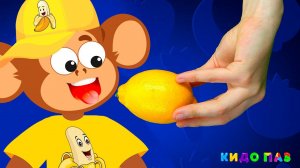 Ням Ням Овощи и Фрукты | Кидо Паз Детские Песни про фрукты и овощи