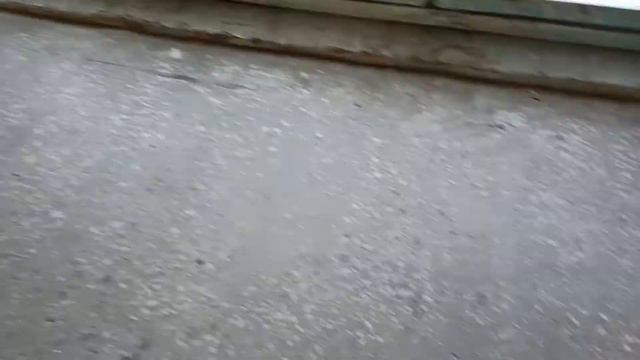 Лифт МЛЗ с МП на 9 этаже, г/п 320 кг, V=0,71 м/с (Хортицкое ш, 12, подъезд 2, г. Запорожье) смотреть онлайн