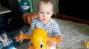 19 декабря 2016 Кира какает