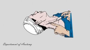 Вагосимпатическая блокада по Вишневскому