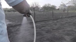 Как сеять газонную траву