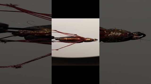 Fly tying