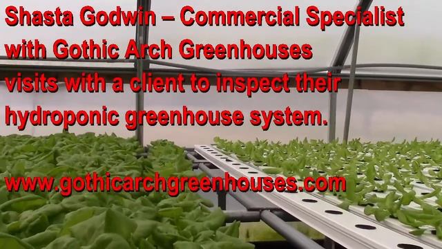 Hydroponic Greenhouse System - Gothic Arch Greenhouses