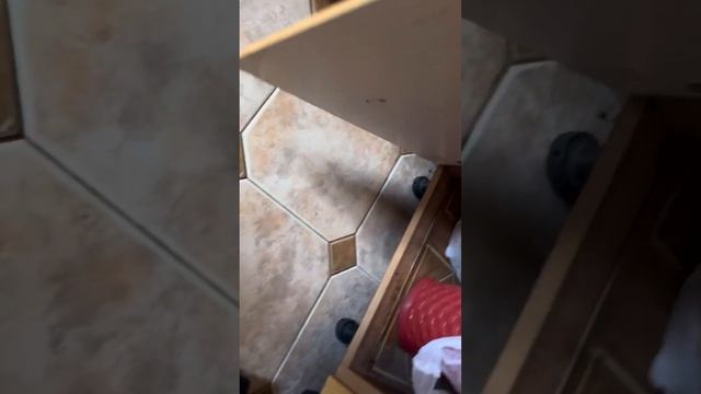 Сколько пыли в контейнере за одну уборку робот пылесос xiaomi Vacuum Cleaner Pro (MJSTS1) смотреть онлайн
