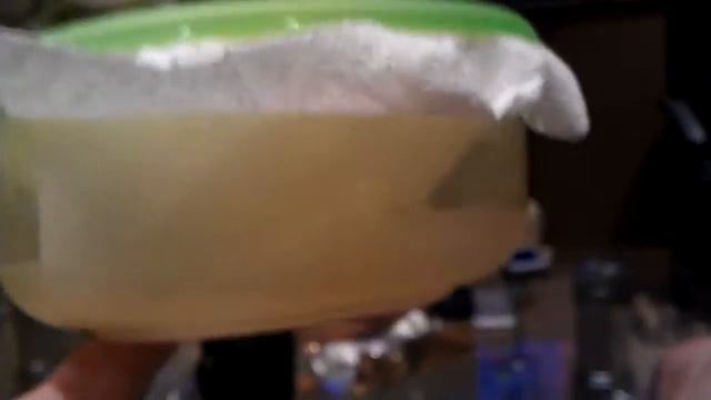 Кузнечик - корм грызуна смотреть онлайн