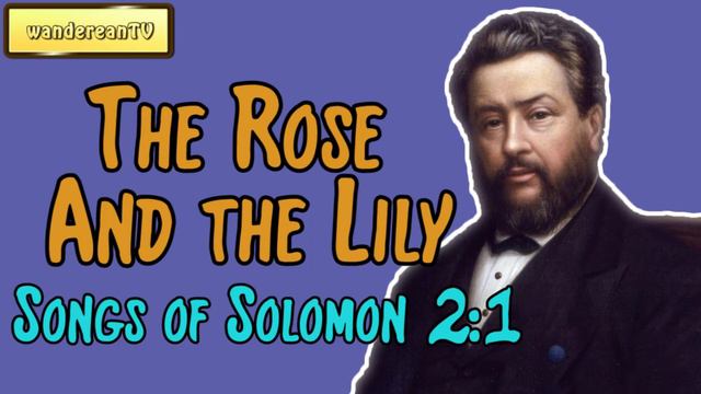 Songs of Solomon 2:1 - The Rose And the Lily || Charles Spurgeon смотреть онлайн