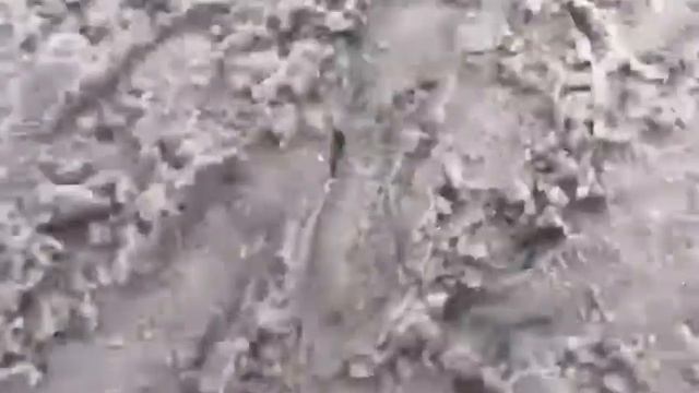 Ваши отзывы о Гринвей. Автополотенце. смотреть онлайн