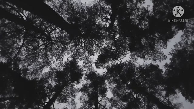 Речной МОНСТР. Смешная страшилка на ночь. смотреть онлайн