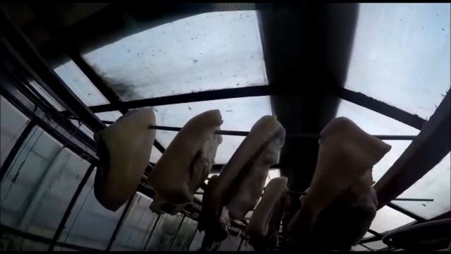 ?КОПЧЕНАЯ ГРУДИНКА + РЕЦЕПТ! Сало и грудинка горячего копчения по-брянски смотреть онлайн