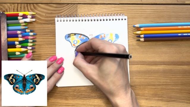 Как нарисовать бабочку цветными карандашами | Рисунок поэтапно для детей смотреть онлайн